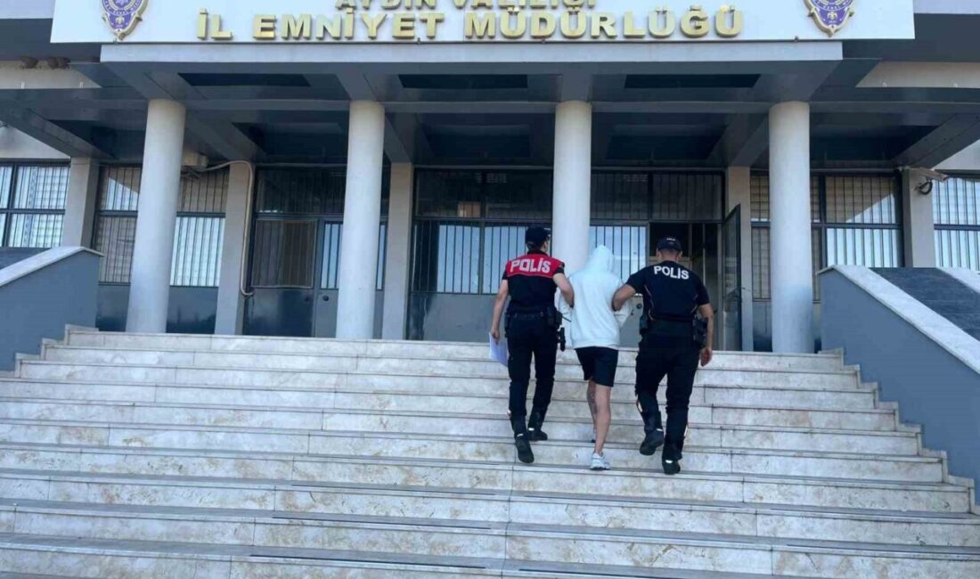 Aydın'ın Efeler ilçesi Umurlu Mahallesi'nde meydana gelen 4 hırsızlık olayının