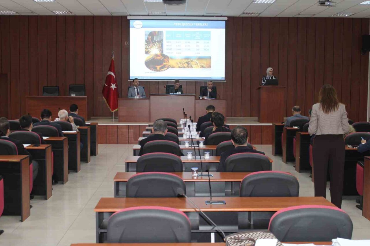 Aydın'da gerçekleştirilen İstihdam Kurulu Toplantısı'nda, 2025 yılı itibarıyla ildeki kayıtlı