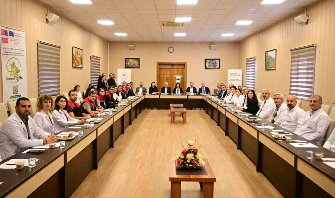 Aydın'da, incirin korunması ve kalitesinin artırılması amacıyla düzenlenen toplantıya Aydın