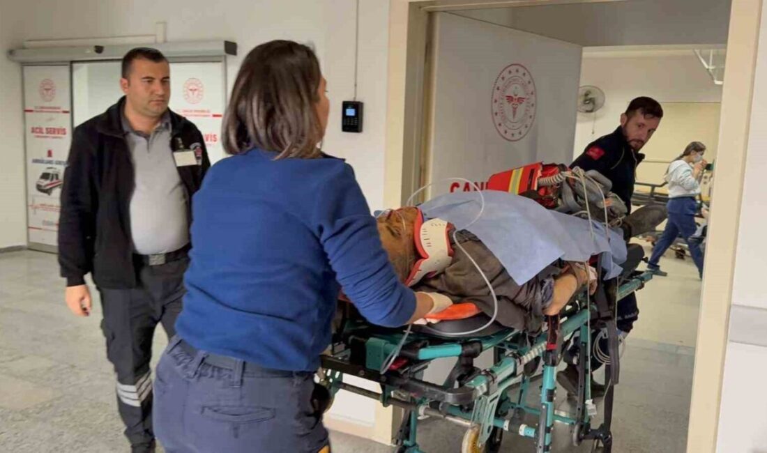 Aksaray'da Mustafa Demirtaş'ın kontrolündeki otomobil, direksiyon hakimiyetinin kaybolması sonucu aydınlatma