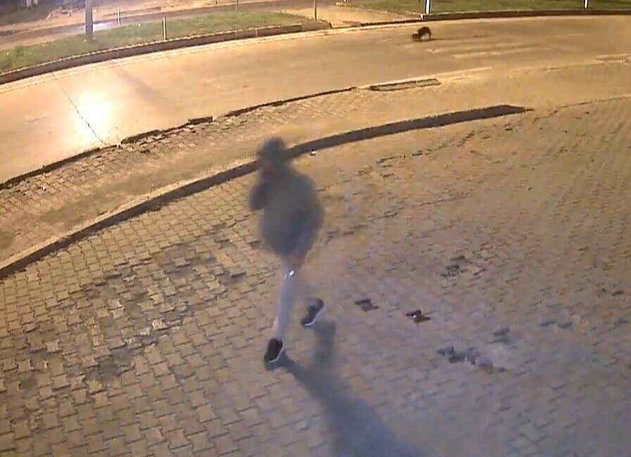 Göksun’daki Market Üzerine Üçüncü Saldırı: Saldırganlar Anbean Kaydedildi Kahramanmaraş'ın Göksun ilçesindeki bir markete, 24 Ekim gecesi daha önceki