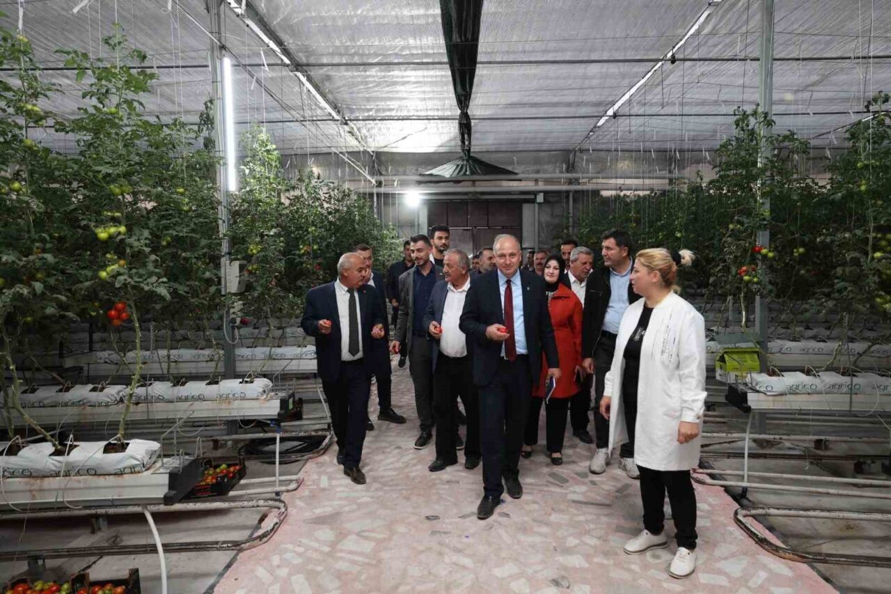 Erzurum'un Aziziye ilçesinde AK Parti tarafından düzenlenen saha gezisine partili