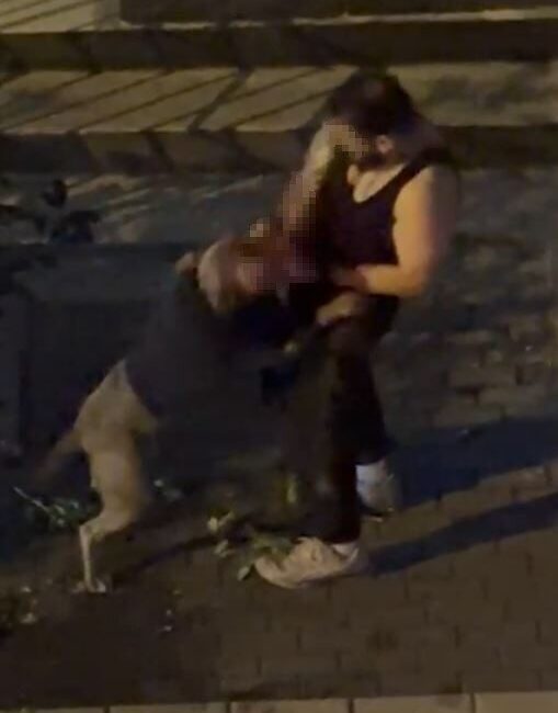 İstanbul Bahçelievler'de 8 Ekim 2025'te, bir pitbull sahibi yürüyüşteyken köpeği
