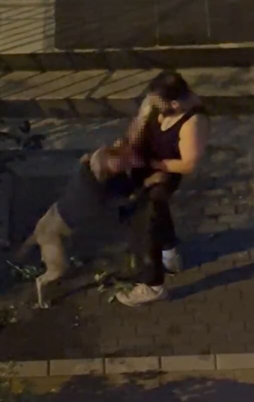 İstanbul Bahçelievler'de 8 Ekim 2025'te, bir pitbull sahibi yürüyüşteyken köpeği