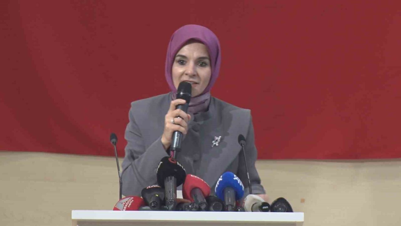 Aile ve Sosyal Hizmetler Bakanı Mahinur Özdemir Göktaş, Kayseri'de düzenlenen