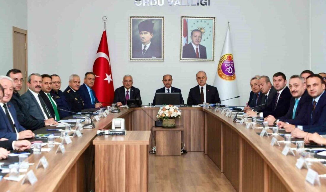 İçişleri Bakan Yardımcısı Mehmet Aktaş, Ordu'daki sokak hayvanlarına yönelik toplantıda,