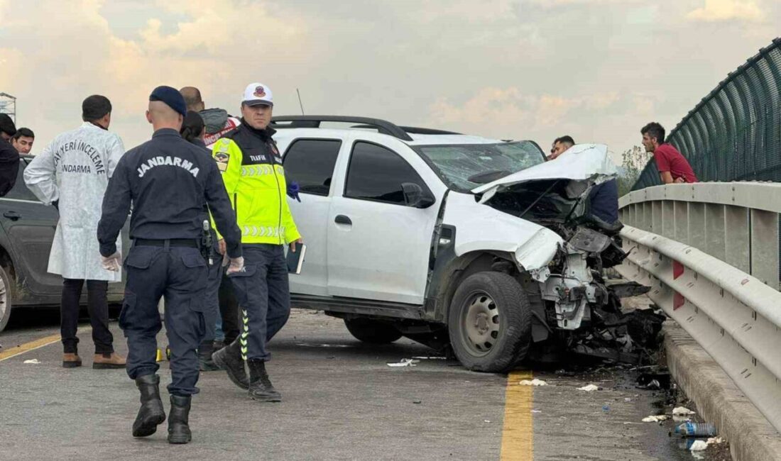 Sakarya'nın Akyazı ilçesinde meydana gelen trafik kazasında Jandarma Astsubay Kıdemli