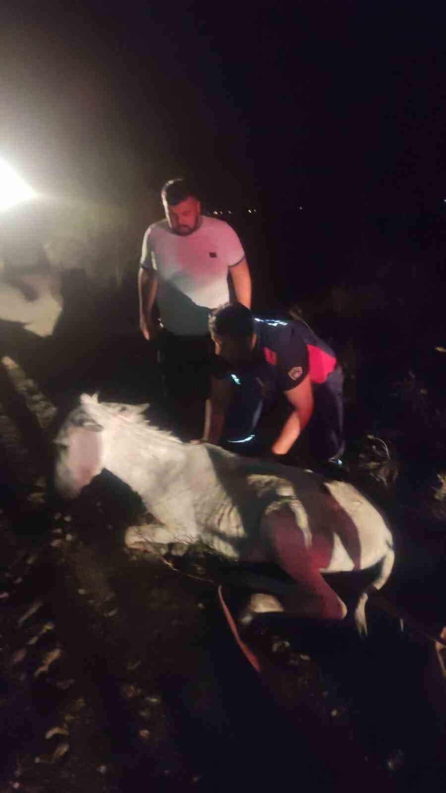 Hatay'ın Kırıkhan ilçesinde, İçada İskan Mahallesi'nde bir eşek dere yatağındaki