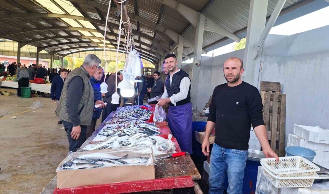 Kütahya'nın Hisarcık ilçesindeki balık pazarında hamsi ve sardalya fiyatları düşerek
