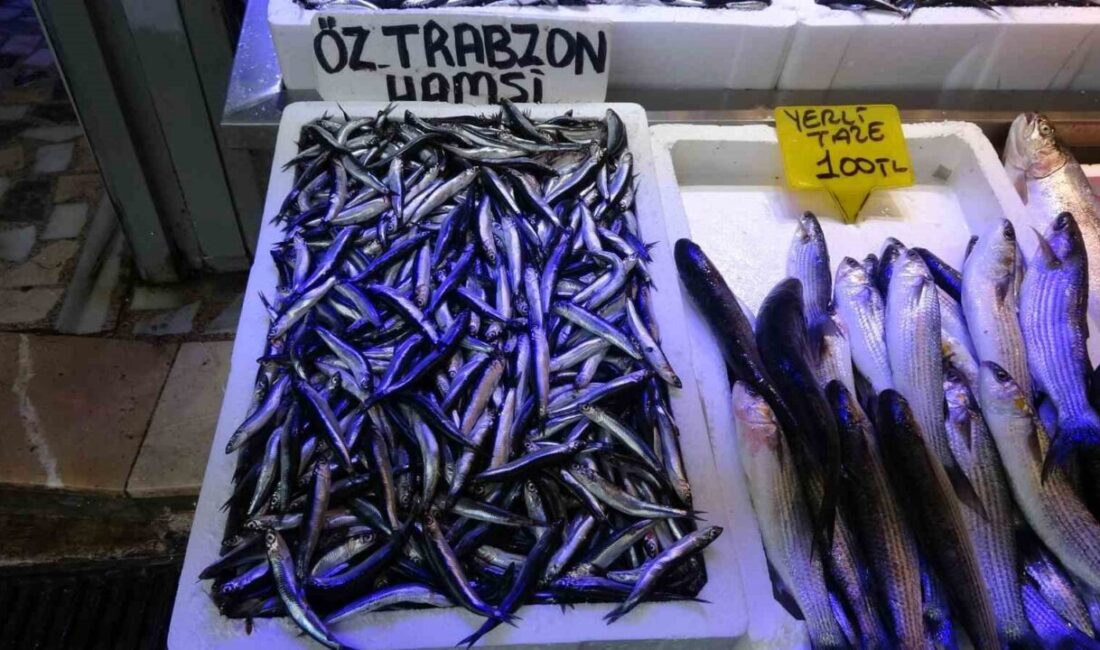 Trabzon ve Hopa açıklarında imha edilen Ukrayna'ya ait insansız deniz