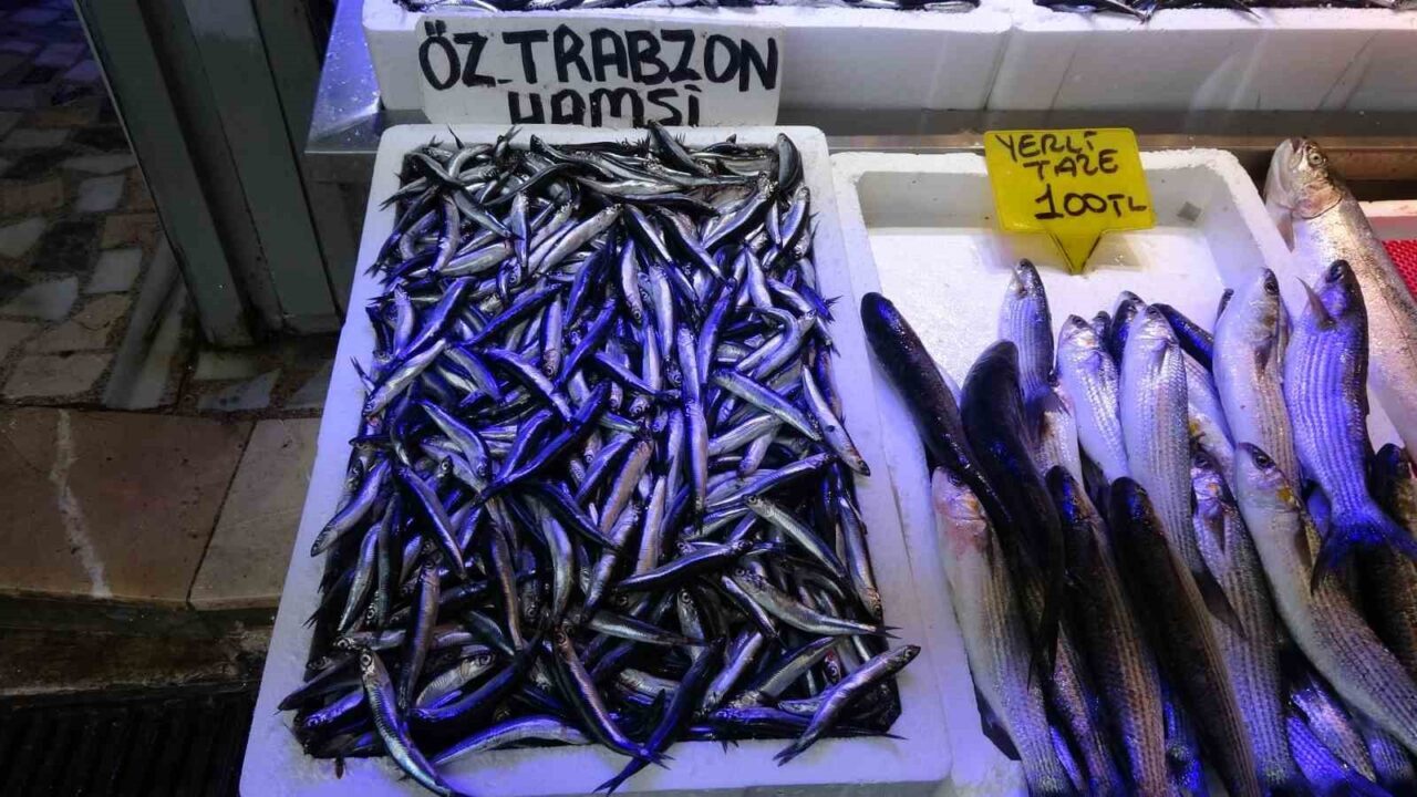 Trabzon ve Hopa açıklarında imha edilen Ukrayna'ya ait insansız deniz