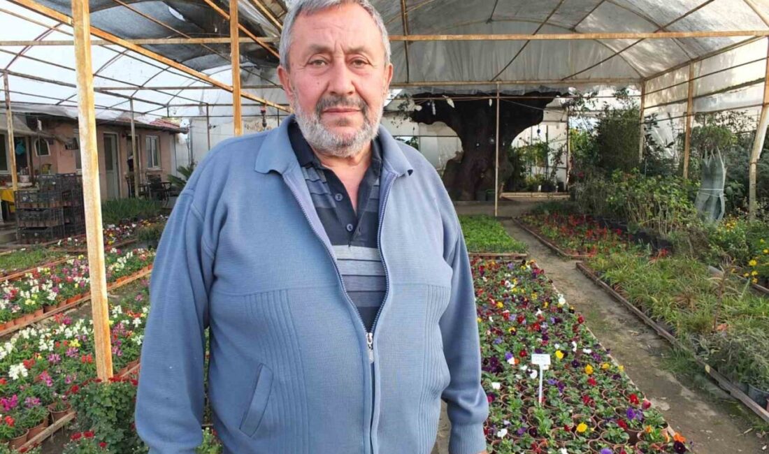 Burhaniye’de Çiçekçilik Mesleğini Seçen Sefer Dinçer, 35 Yıldır Başarıyla Üretim Yapıyor Burhaniye’de 32 yıl önce Yıldız Teknik Üniversitesi’nden mezun olan Sefer