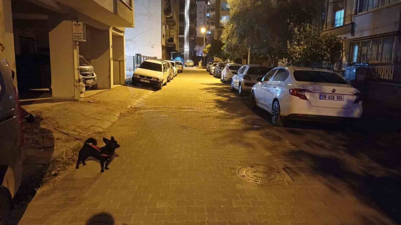 Balıkesir'in Sındırgı ilçesinde meydana gelen 6.1 büyüklüğündeki deprem, Aydın'da paniğe