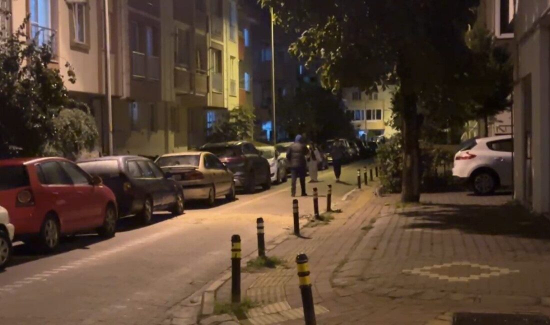 Balıkesir merkezli 6.1 büyüklüğündeki deprem Çanakkale’ye de ulaştı, olumsuz bir durum yok Balıkesir'in Sındırgı ilçesinde saat 20.48'de meydana gelen 6.1 büyüklüğündeki deprem,