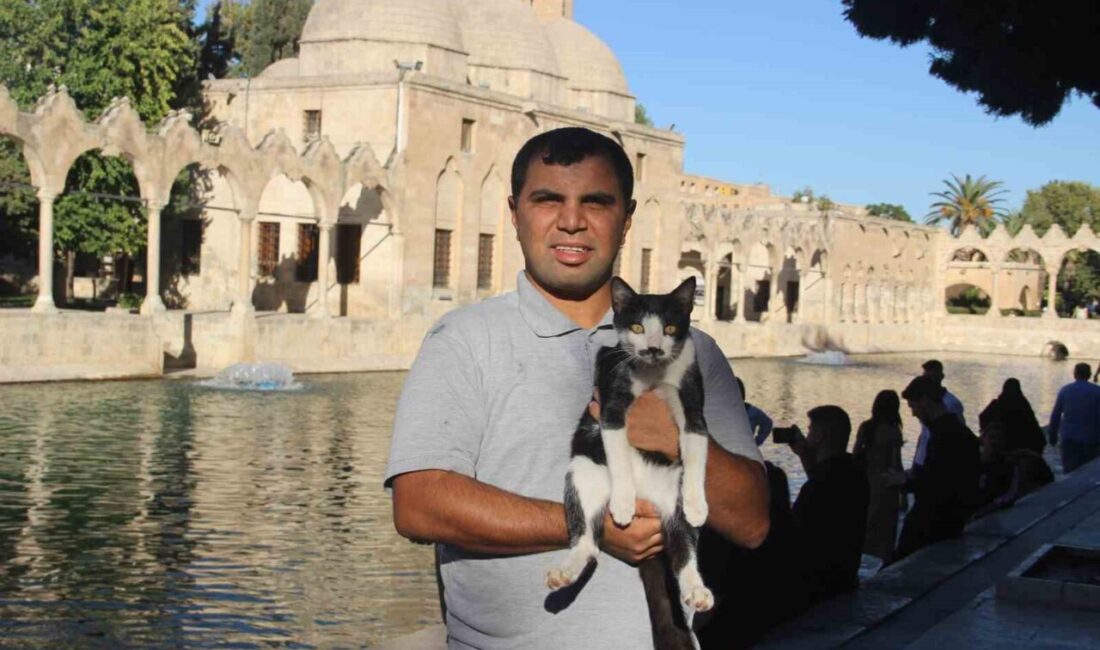 Şanlıurfa'nın Balıklıgöl'ünde temizlik görevlisi Ahmet Asım Bülte, gölete düşen bir