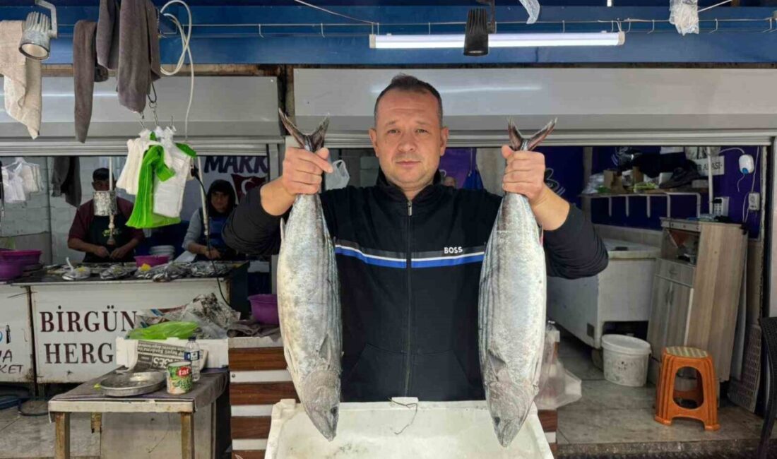 Bandırma Su Ürünleri Hali’nde Yeni Avlanma Sezonuyla Küçük Balık Fırsatları Artıyor Bandırma Su Ürünleri Hali'nde 2025-2026 av sezonu başladı. Balıkçılar Barış