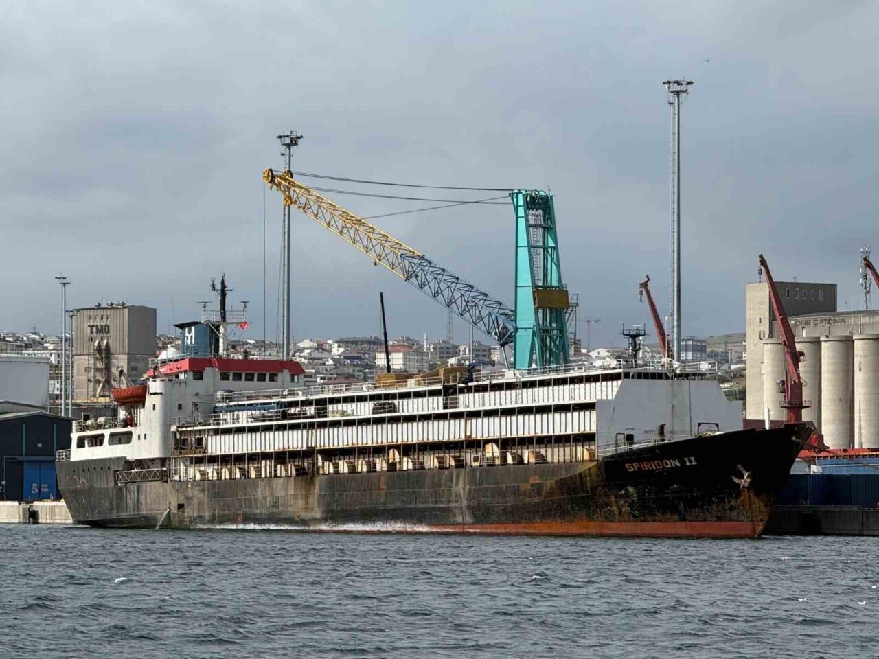 Bandırma'nın Çelebi Limanı'nda 8 gündür bekleyen "Spiridon-II" gemisindeki ithal büyükbaş