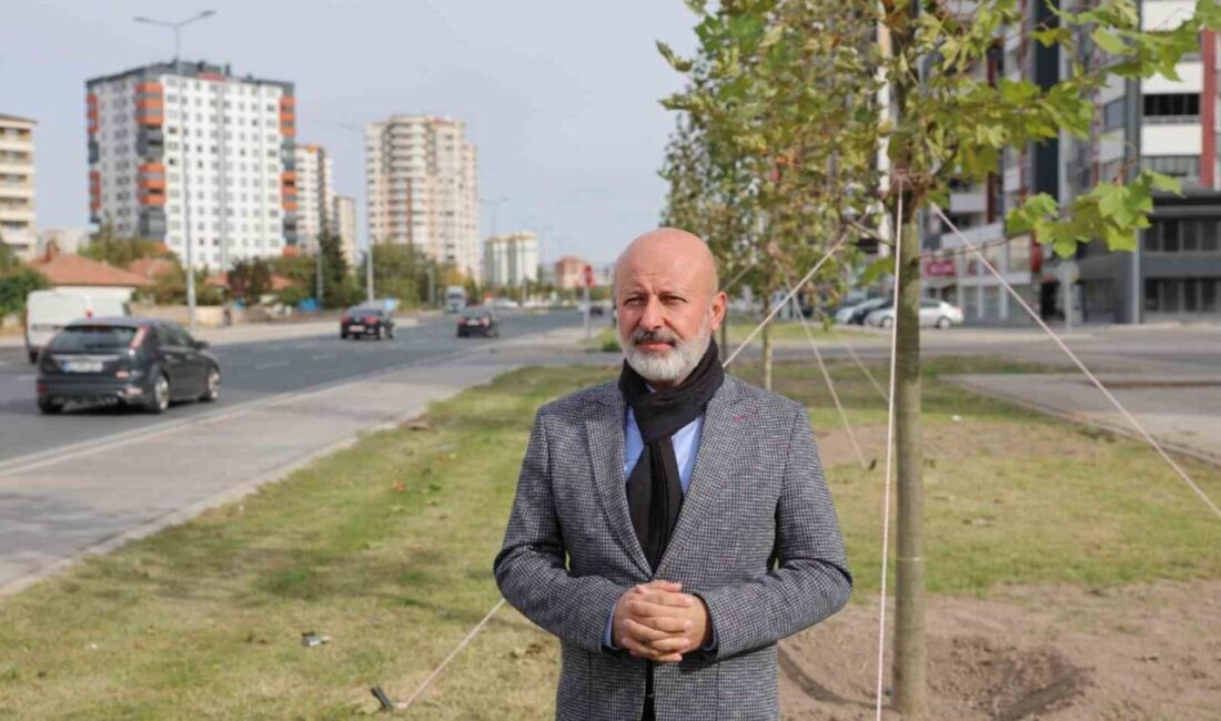 Kocasinan Belediyesi, ağaç dikim sezonunda on binlerce fidanı toprakla buluşturuyor.