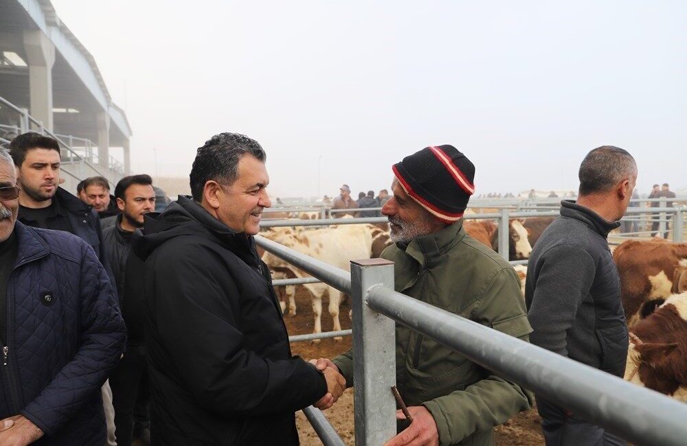 Ardahan hayvan pazarı, ŞAP hastalığı nedeniyle uzun bir aradan sonra