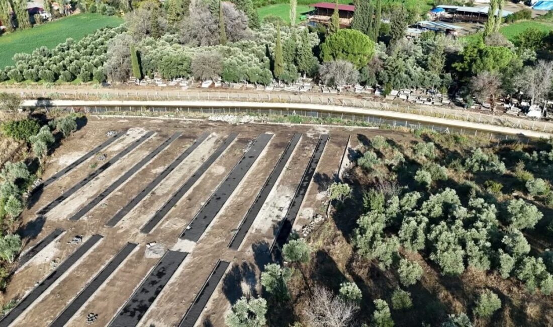 Yenipazar Belediye Başkanı Malik Ercan, ilçede ilaçlama ve cenaze hizmetlerinin