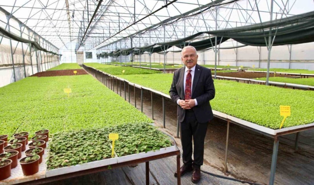 Ordu’da 400 Bin Kışlık Sebze Fidesi Dağıtımına Hazır Ordu Büyükşehir Belediye Başkanı Dr. Mehmet Hilmi Güler, seralarında 4