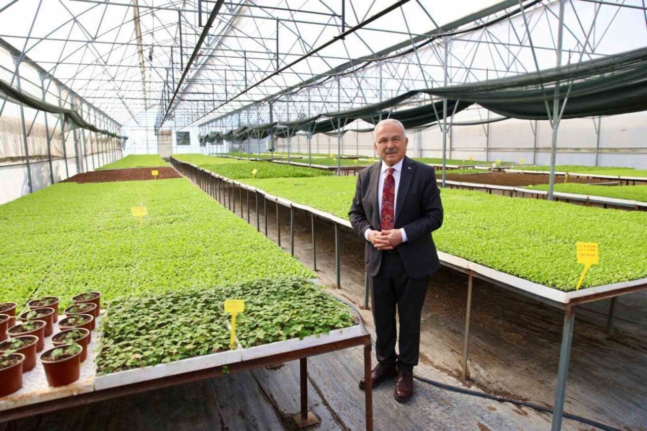 Ordu Büyükşehir Belediye Başkanı Dr. Mehmet Hilmi Güler, seralarında 4
