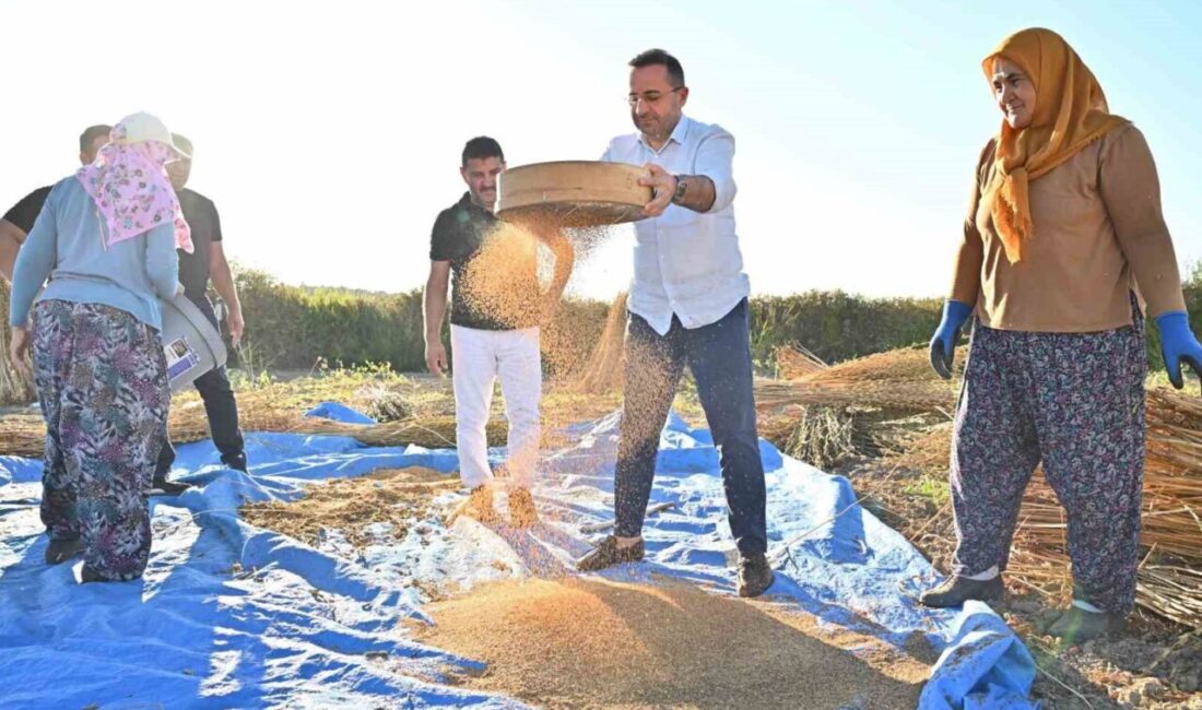 Manavgat Ticaret ve Sanayi Odası Başkanı Seydi Tahsin Güngör, Manavgat