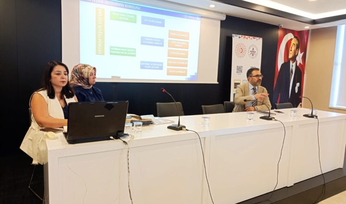 Sanayi ve Teknoloji Bakanlığı'nın koordinasyonunda yürütülen Yerel Kalkınma Hamlesi Teşvik