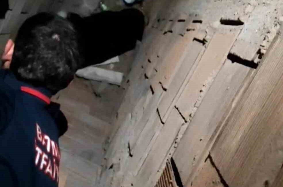 Batman’da Havalandırma Boşluğuna Düşen Kedi, İtfaiye Ekiplerinin Çabasıyla Kurtarıldı Batman'da bir binanın havalandırma boşluğuna düşen bir kedi, itfaiye ekiplerinin