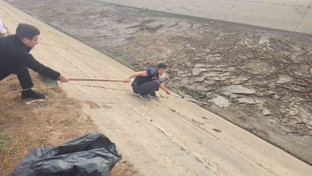 Batman’da Su Kanalına Düşen Yavru Köpek İtfaiye Ekiplerince Kurtarıldı