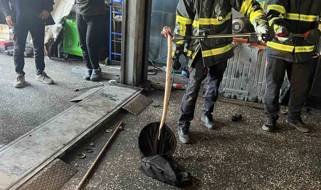 Batman'da park halindeki bir otomobilin motoruna giren yılan, itfaiye ekipleri
