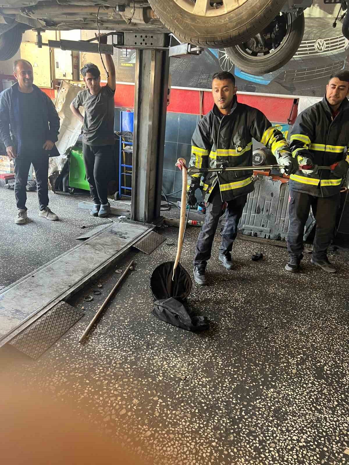 Batman'da park halindeki bir otomobilin motoruna giren yılan, itfaiye ekipleri