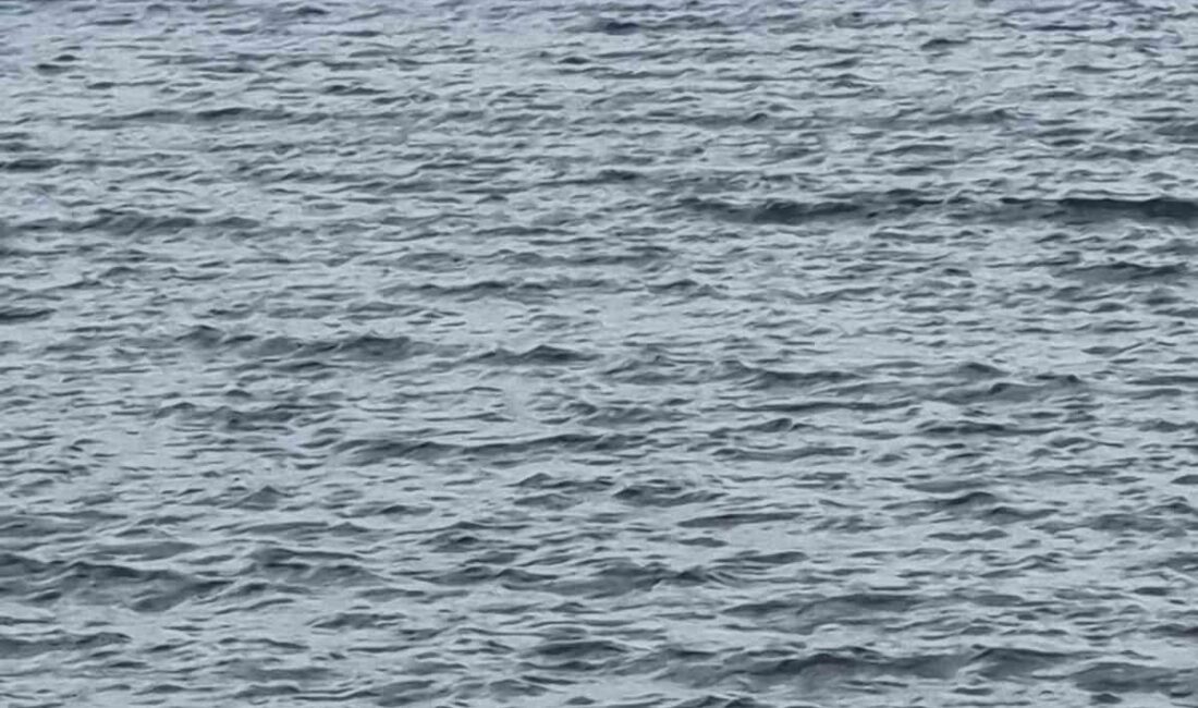 Gelibolu Açıklarında Alabora Olan Tekne, Hayatını Kaybeden Üç Kişinin Bulunduğu Noktadan Çıkarıldı Çanakkale Gelibolu'da bir balıkçı teknesinin batması sonucu Orhan Yavaş dışında