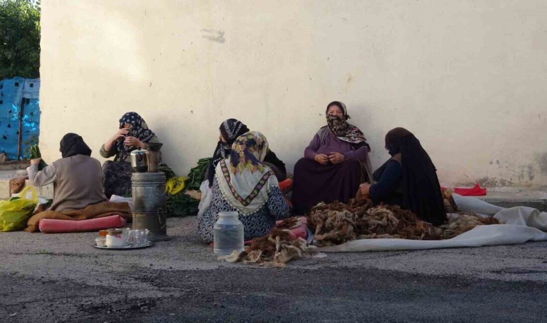 Bayburt'un Şingah Mahallesi'nde kadınlar, kış hazırlıklarını imece usulüyle gerçekleştiriyor. Komşular