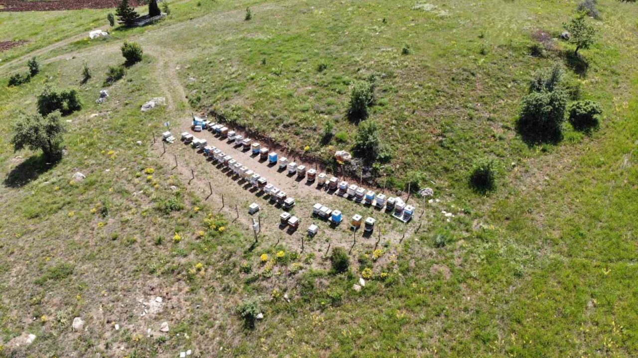 Bayburt İl Tarım ve Orman Müdürlüğü, 2025 yılı arılı kovan