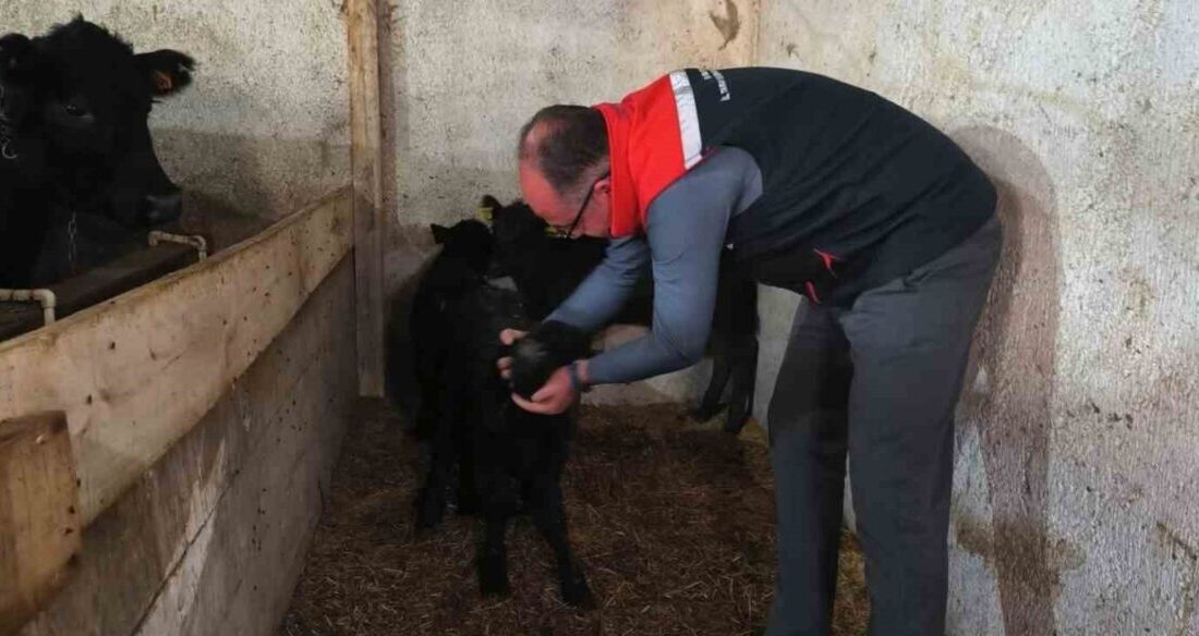Bayburt'un Söğütlü, Pamuktaş ve Taşkesen köylerinde Kırsalda Bereket Hayvancılığa Destek