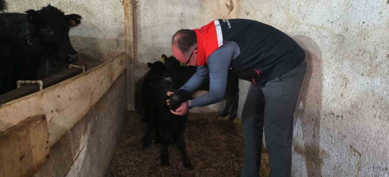 Bayburt'un Söğütlü, Pamuktaş ve Taşkesen köylerinde Kırsalda Bereket Hayvancılığa Destek
