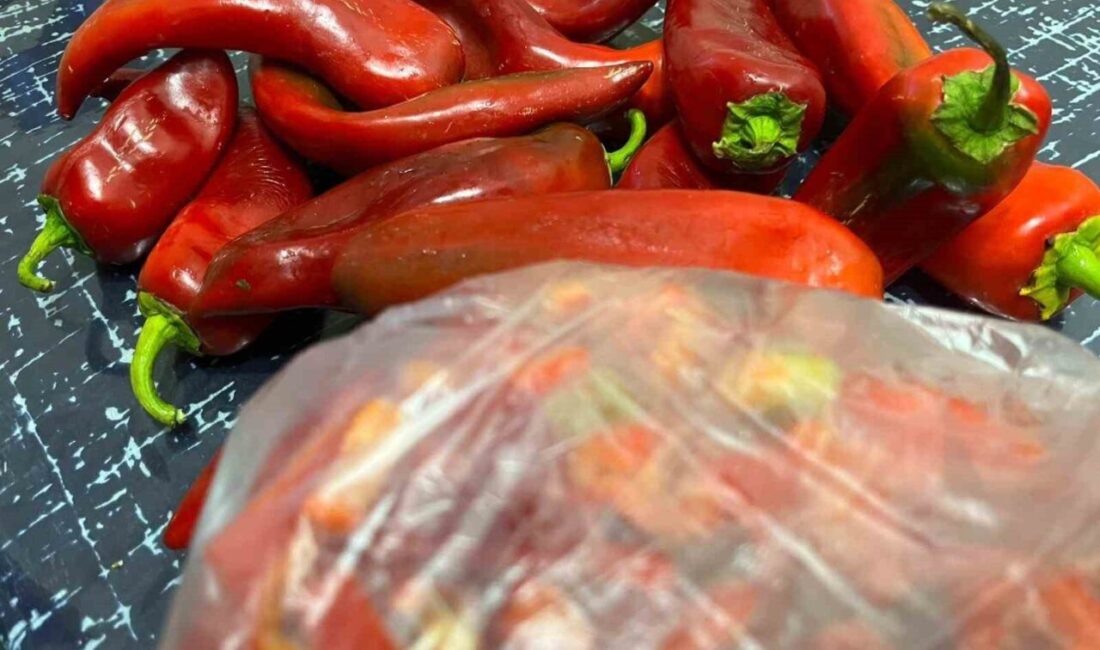 Bayburt'ta kadınlar, kış hazırlıklarını geleneksel yöntemlerle sürdürüyor. Pazardan seçilen biberler,