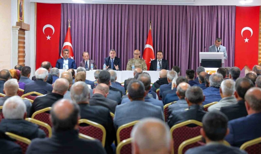 Bayburt Valisi Mustafa Eldivan, Merkez Köylere Hizmet Götürme Birliği Dönem