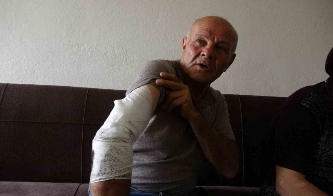 Burdur'da taksi şoförü 60 yaşındaki Hüseyin Tetik, sokak köpeklerini beslemek