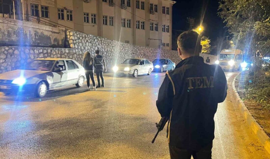 Adıyaman'ın Besni ilçesinde, ilçe Emniyet Müdürlüğü'ne bağlı polis ekipleri, hem