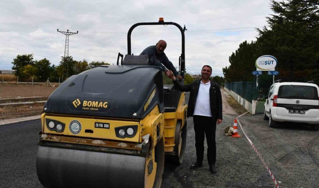 Eskişehir'in Beylikova ilçesinde, uzun süredir bakım yapılmayan Tarım Kredi Süt