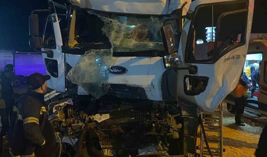Bilecik’te iki tırın çarpıştığı trafik kazasında sürücü Hasan Bilgin hayatını