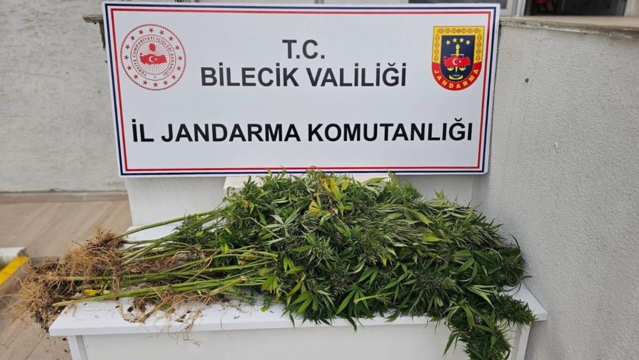 Bilecik'in Bozüyük ilçesinde jandarma, ormanlık bir alanda yasa dışı 19