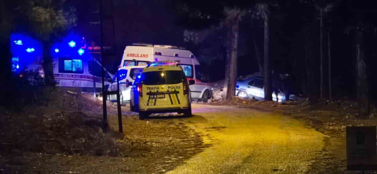 Bilecik'te meydana gelen trafik kazasında, otomobilin ağaca çarpması sonucu Muhammet