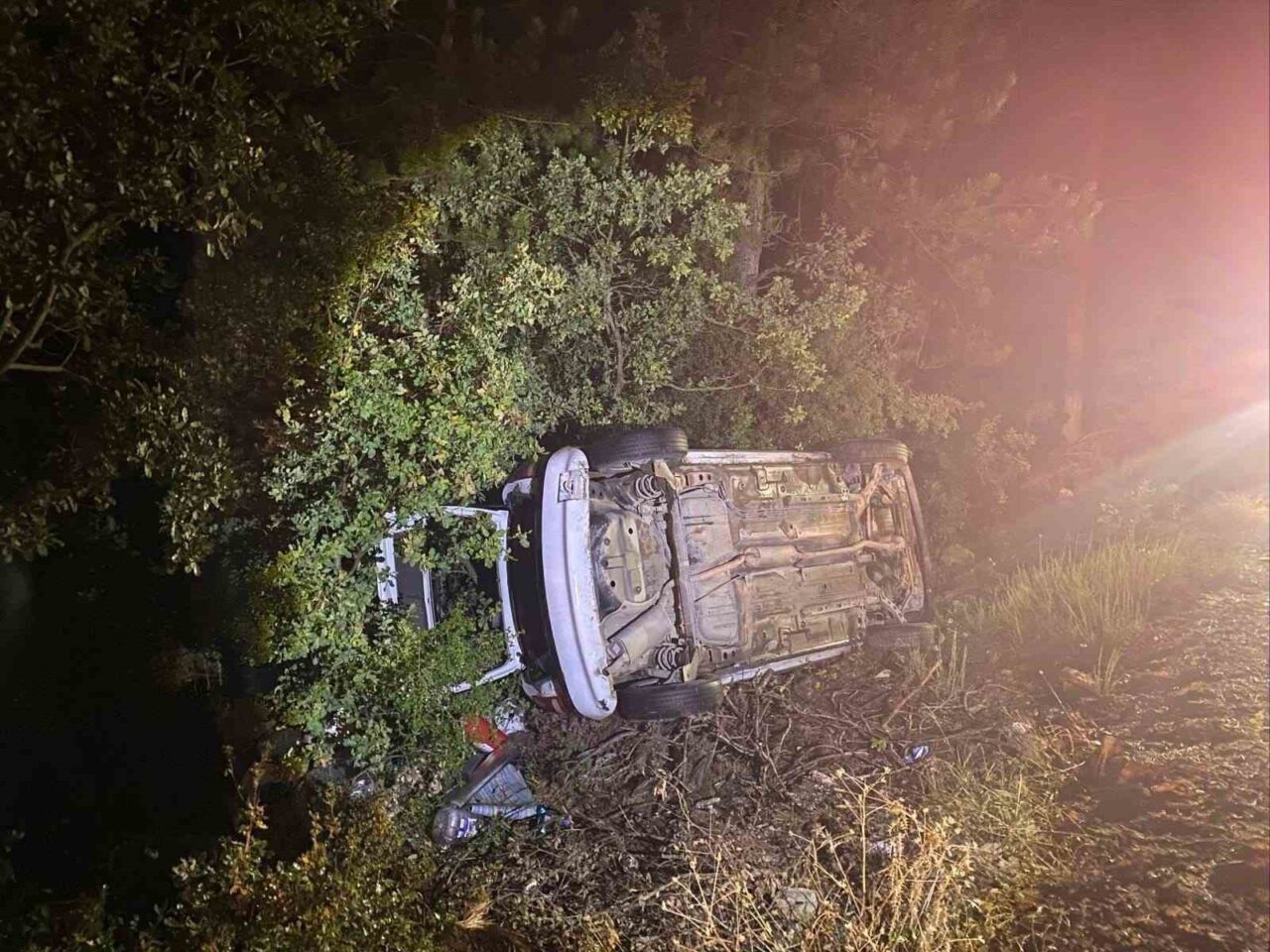 Bilecik'te yağış nedeniyle sürücüsü Sefa G. kontrolünü kaybedip şarampole uçan