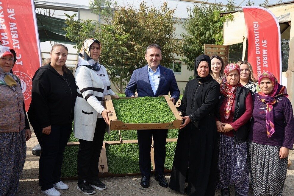 Bilecik'in Söğüt ilçesinde gerçekleştirilen 'Marul fidesi dağıtım programında', toplam 926