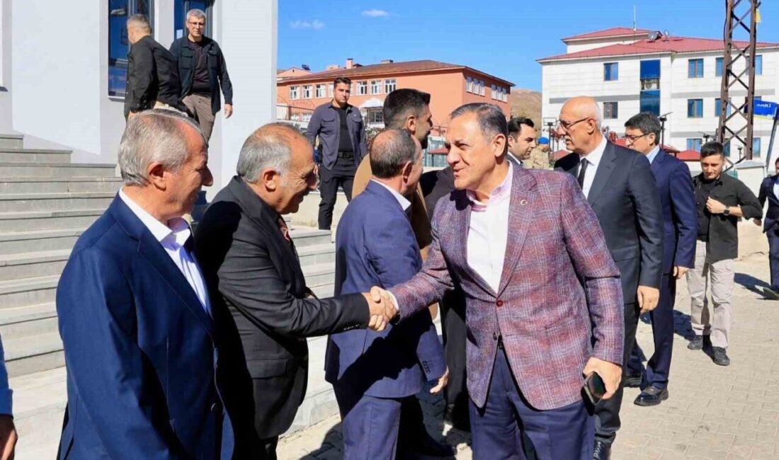 Bingöl Valisi Ahmet Hamdi Usta, Karlıova'da Tiryaki ve Aktaş aileleri