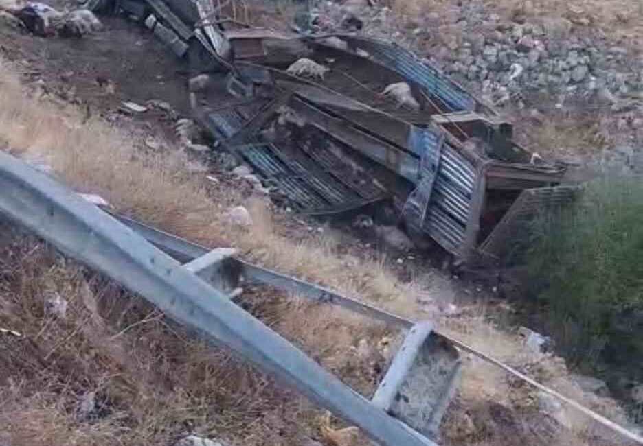 Bingöl’de Atla Çarpışmamak İçin Manevra Yapan Canlı Hayvan Taşıyan Kamyon Şarampole Yuvarlandı: 2 Yaralı, Çok Sayıda Küçükbaş Hayvan Telef Oldu Bingöl-Erzurum karayolunda, yola çıkan ata çarpmamak için manevra yapan canlı