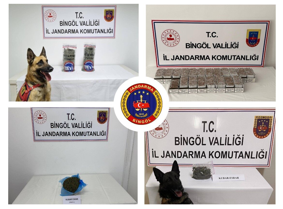 Bingöl'de jandarma, 10-17 Ekim 2025 tarihleri arasında düzenlenen operasyonlarda 29